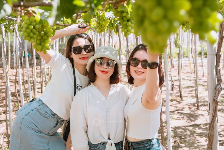 Đặc sản Ninh Thuận thích hợp mua về làm quà khi đi du lịch