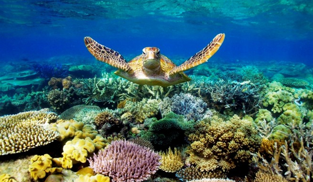 Những điểm đến không thể bỏ qua ở xứ chuột túi vào tháng 10