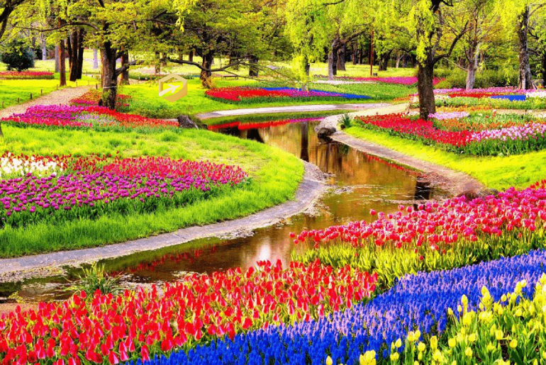 Tour Nhật Bản -  Cung đường vàng - Hành trình mùa thu 6 ngày 6 đêm