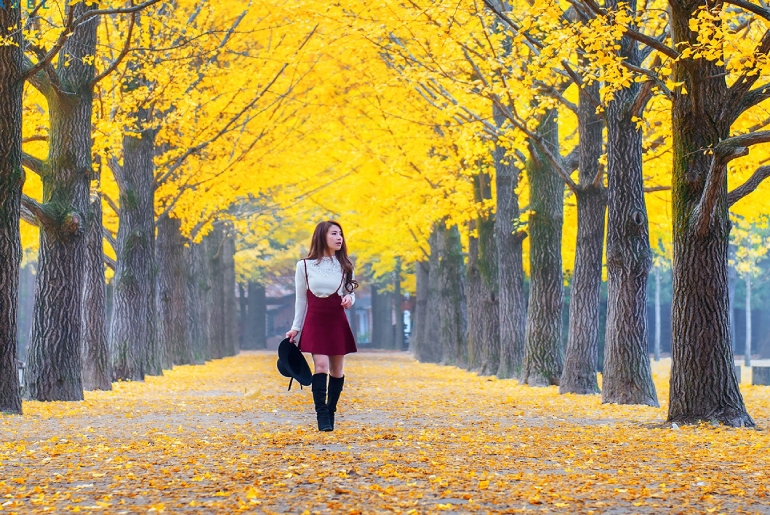 Tour du lịch Hàn Quốc - Seoul - Jeju - Island 6 Ngày 5 Đêm