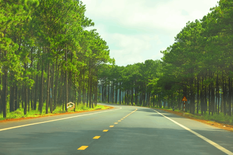 Tour Buôn Mê Thuột I Tour du lịch Buôn Mê Thuột – Tà Đùng 3 ngày 3 đêm