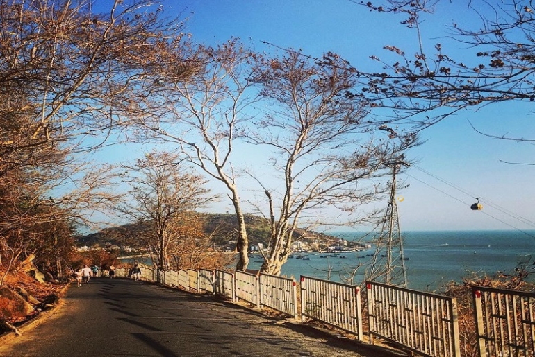 Tour Vũng Tàu I Tour du lịch Vũng Tàu - Vịnh Marina 2 ngày 1 đêm