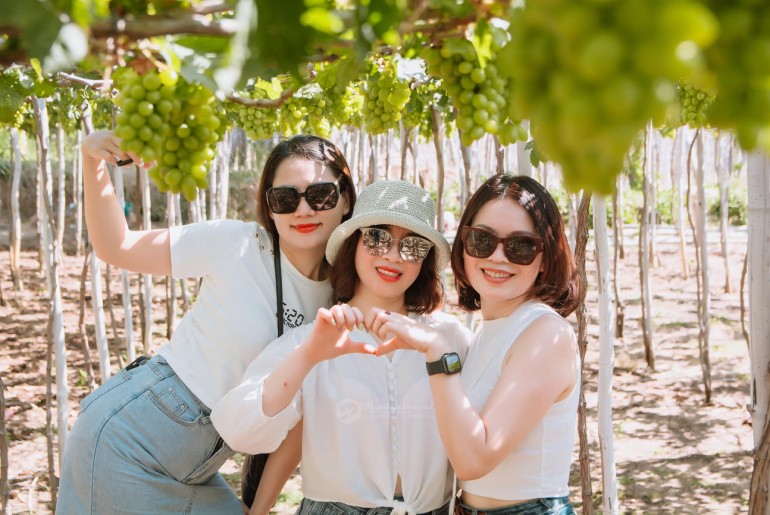 Tour Du Lịch Cù Lao Câu - Ninh Chữ - Vịnh Vĩnh Huy 2 ngày 2 đêm