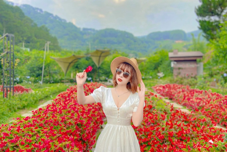 Tour Samten Hill Đà Lạt – Chuồn Chuồn 3 Ngày 3 Đêm - Khởi hành Thứ 5