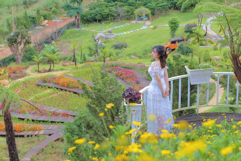 Tour Đà Lạt – Chuồn Chuồn 3 Ngày 3 Đêm - Khởi hành Thứ 5 hàng tuần